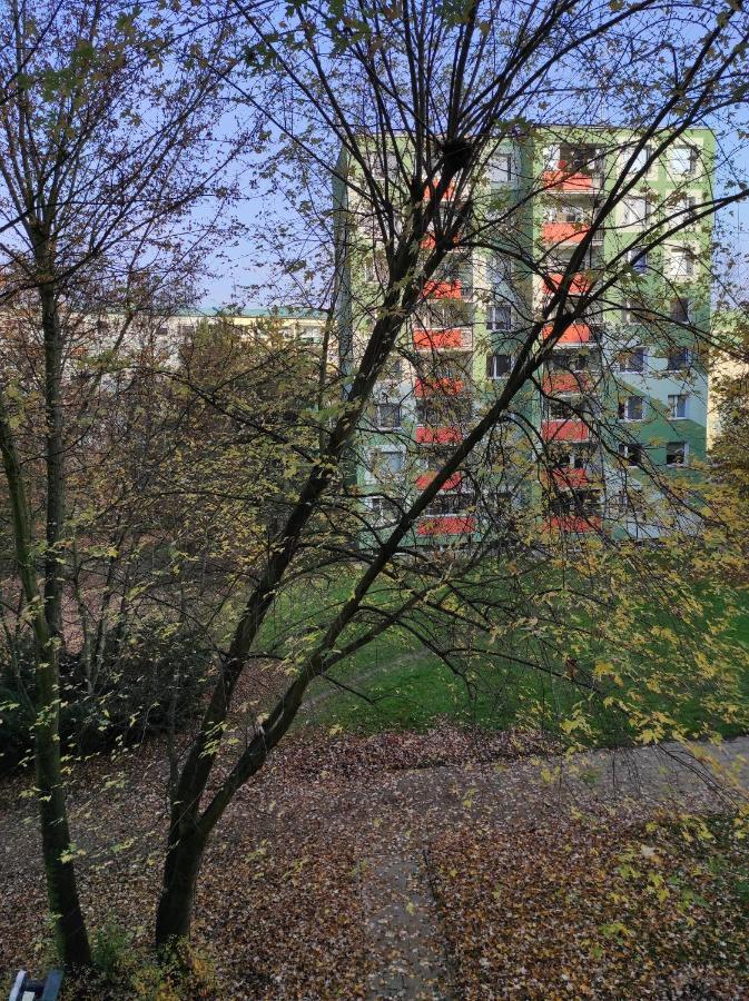 Stiborka Apartment