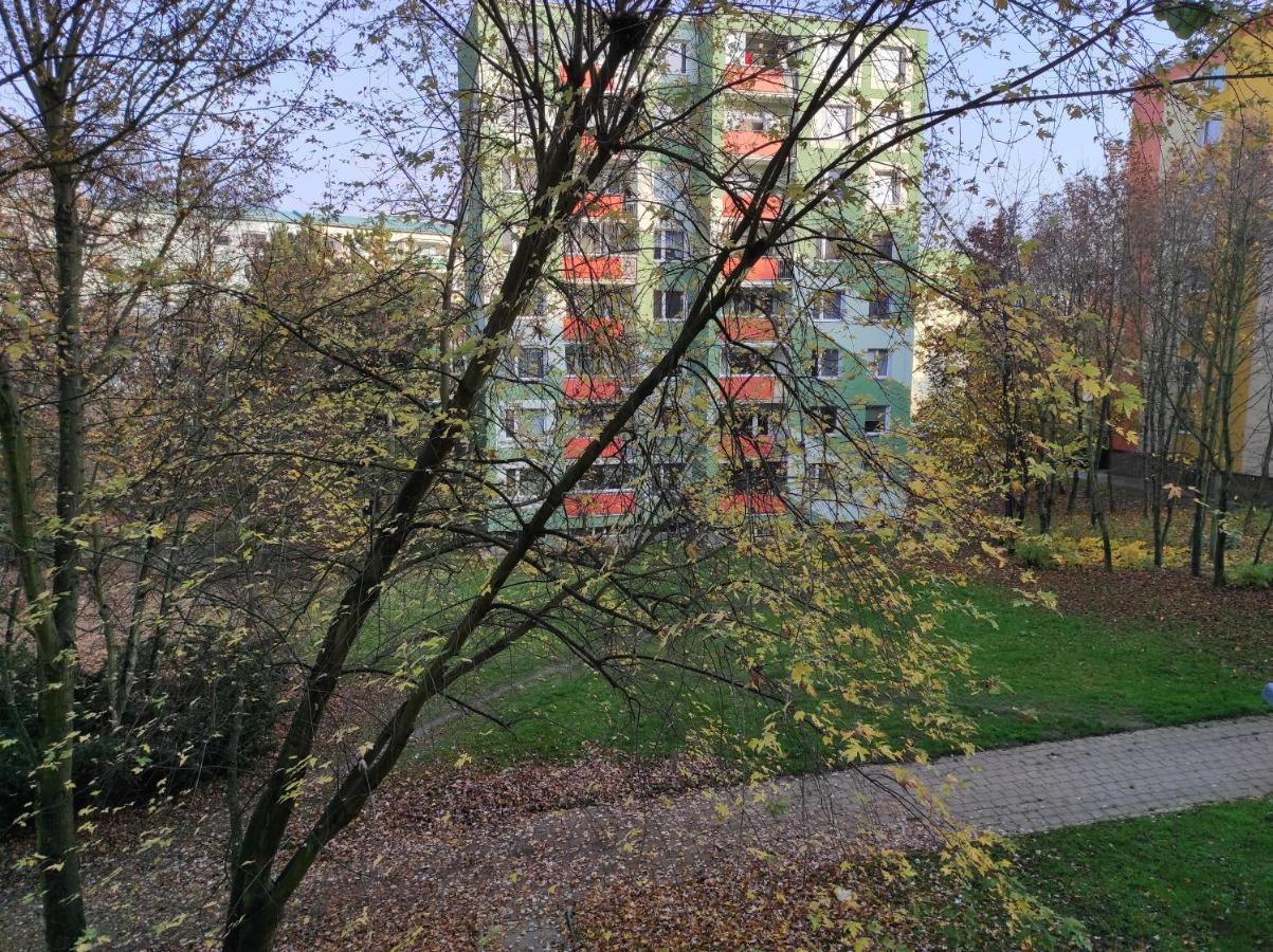 Stiborka